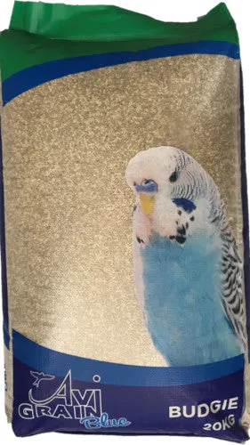 Budgie Blue